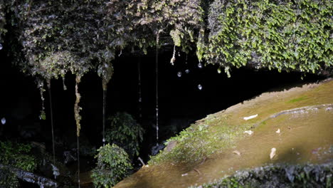 Agua-Goteando-De-Rocas-Cubiertas-De-Musgo-Bajo-El-Sol