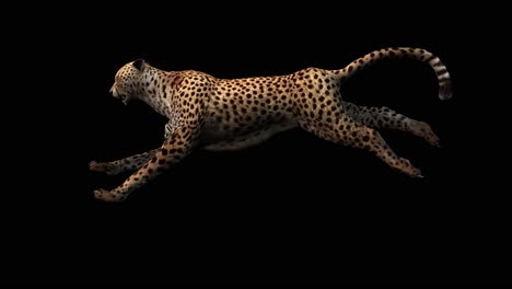 Ein-Gepard-Läuft-Auf-Schwarzem-Hintergrund-Mit-Alphakanal-Am-Ende-Des-Videos,-3D-Animation,-Seitenansicht,-Animierte-Tiere,-Nahtlose-Schleifenanimation