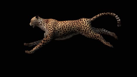 a cheetah running on black background with alpha channel included at the end of the video, 3d animation, side view, animated animals, seamless loop animation