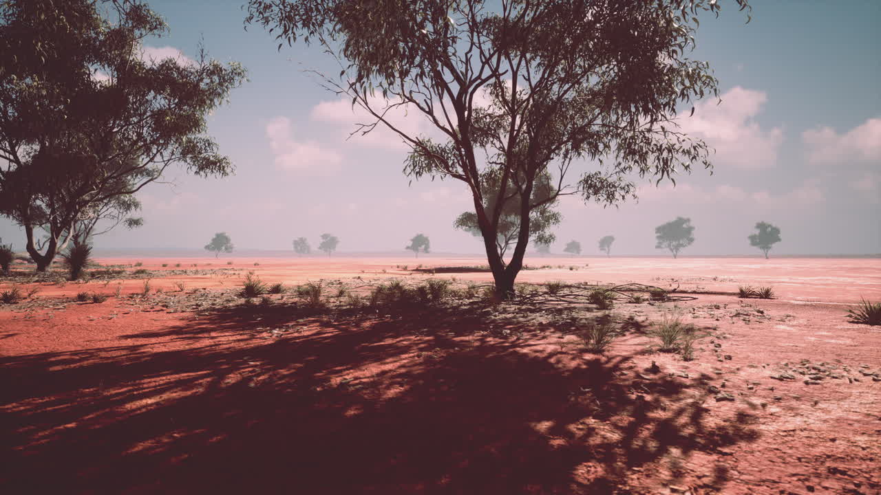 paisaje africano con árboles de acacia