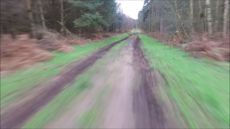 a drone flying around just one of the thousands of forests of the united kingdom