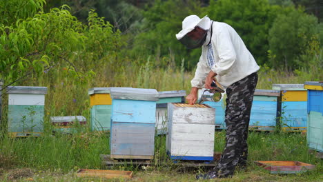 beekeeper is working with bees and beehives on the apiary. beekeeper on apiary.