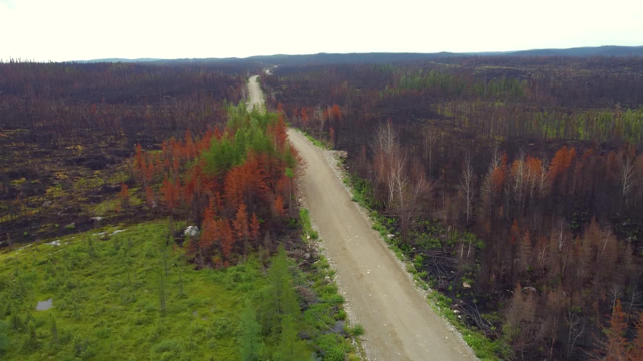 파괴적인 캐나다 산불 시즌 후 숲의 잔해를 보는 낮은 수준의 헬리 ⁇ 터 비행