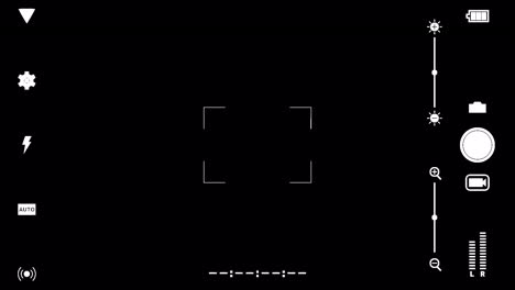 Phone camera animated overlay.  1080p - 30 fps - Alpha Channel (10)
