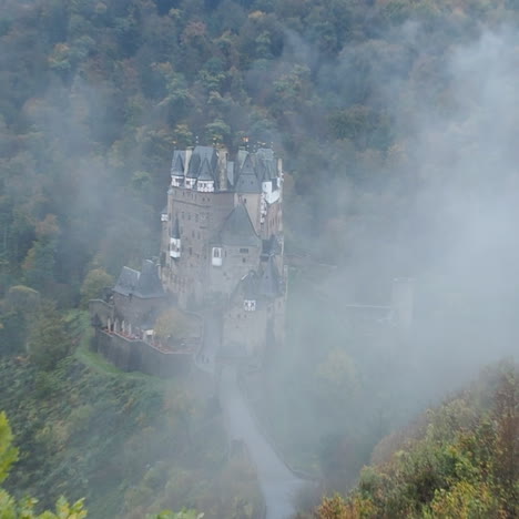 Nebel-In-Den-Waldbäumen-Der-Eifel-Deutschland