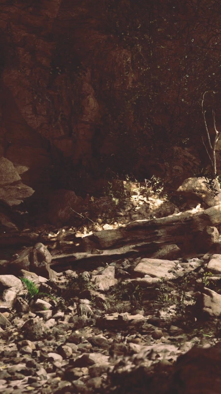 Natural landscape with rocks and vegetation in a dimly lit area