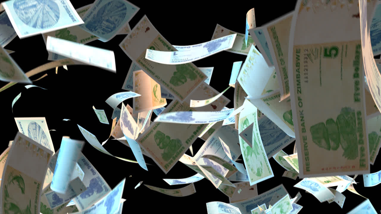 짐바브웨 달러 하락