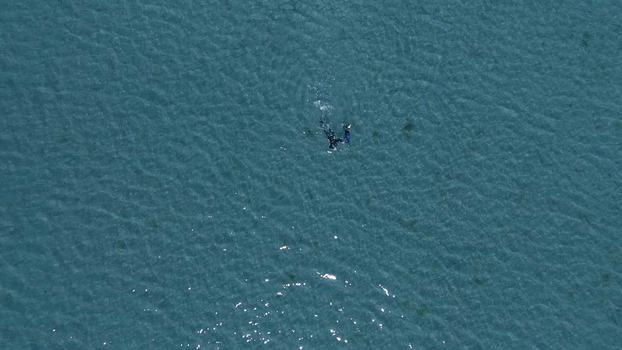 낮 동안 빌라리노 해변의 고요한 바다에서 함께 수영하는 동안 손을 잡고 잠수복을 입은 두 사람