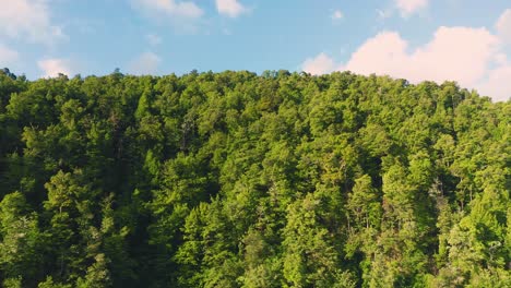 Blue-lake-water-in-summer-drone-shot-with-forest