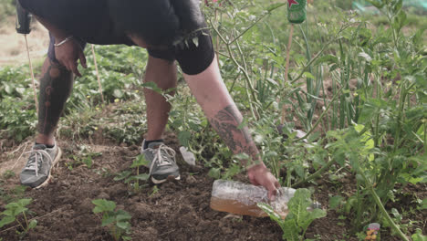 Medium-shot-from-above-of-a-latin-man-watering-plants-with-a-water-bottle-in-one-hand