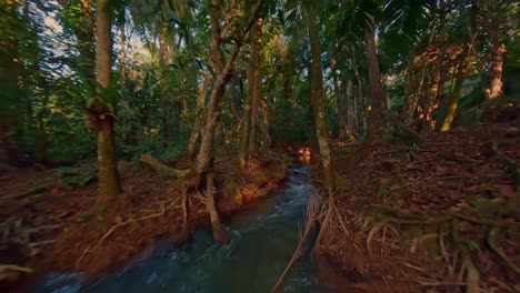 vuelo fpv sobre un arroyo místico rodeado de árboles tropicales y raíces al atardecer - república dominicana, rio comate