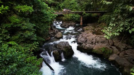 wild river flowing through tropical forest under bridge where vehicles cross