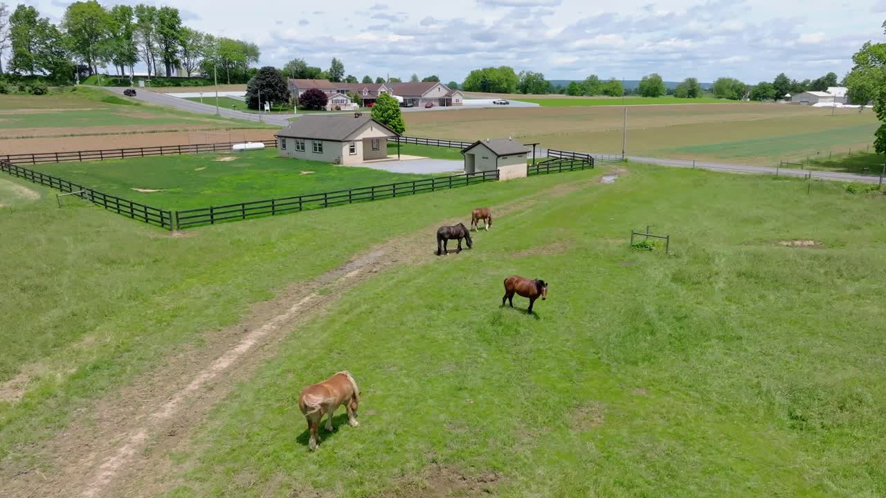 In an aerial view of a rural setting, horses roam freely and graze on lush green grass near a charming Amish one room school house. The landscape features expansive fields and distant hills