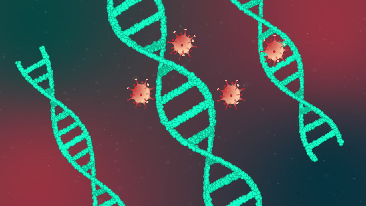 animación de las células de covid 19 moviéndose sobre cadenas de adn girando