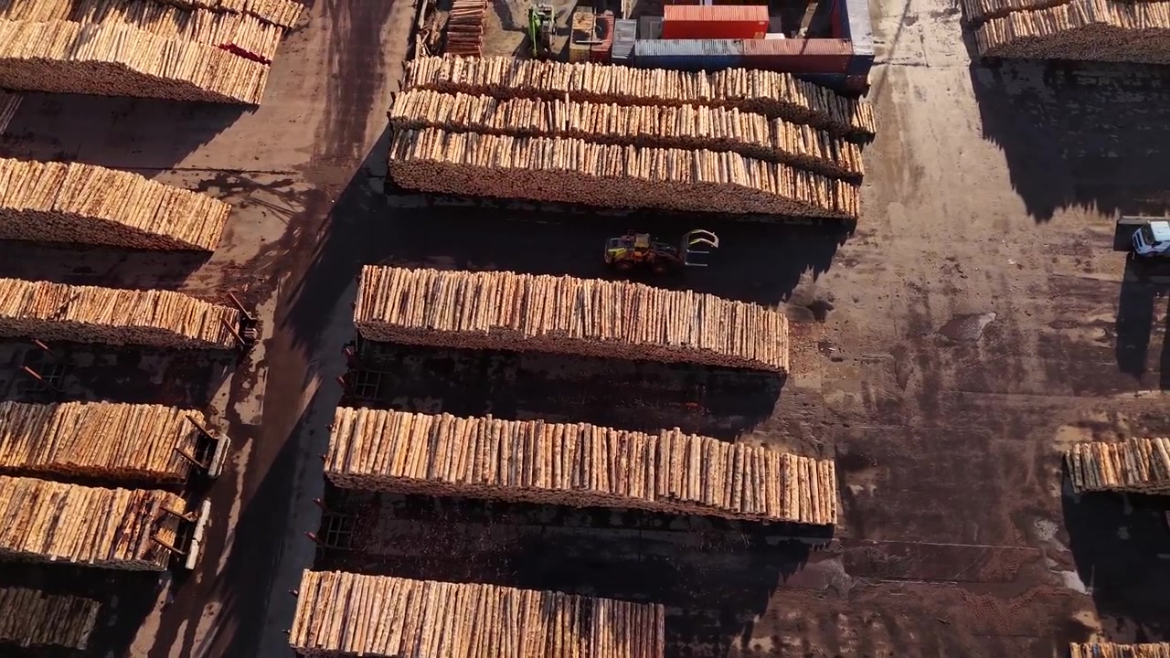Massive timber stacks and log piles at the Wellington City port. 4K aerial view of New Zealand's forestry industry and export logistics in action