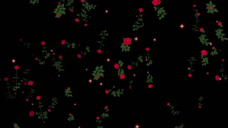 rose flower particle loop animation