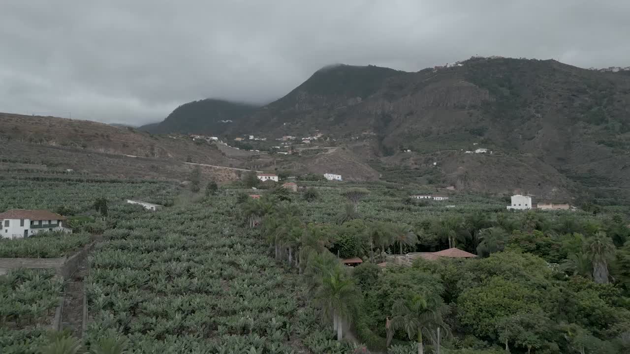산 옆에 있는 바나나 농장, 자연 농장