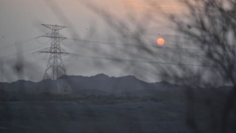 golden sunset over dry trees in a wadi in the middle east