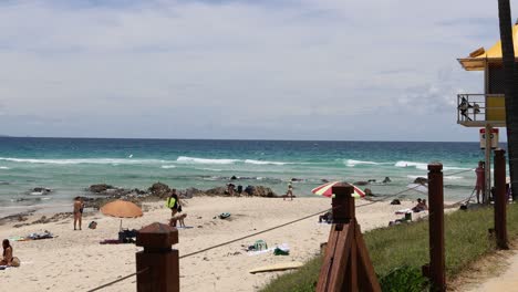 people enjoying a sunny day at the beach