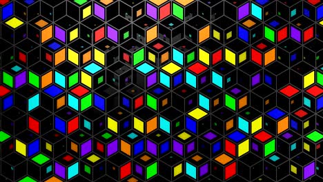 el fondo del rombo