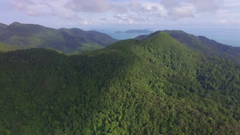 tropical dense woodland koh chang thailand vast island rainforest mountain range