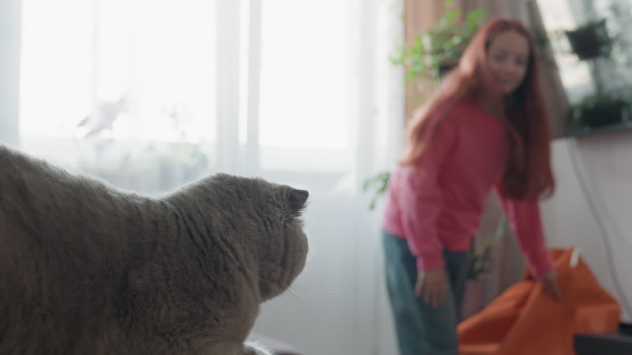 Bambina e donna che modificano insieme le tende, bambina e donna che lavorano alle tende con un gatto attento nelle vicinanze, bambina e donna che collaborano per sistemare la tenda mentre il gatto osserva attentamente da vicino
