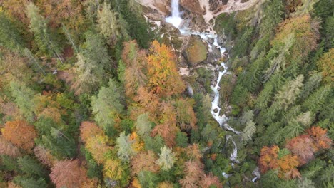 Tilt-up-aerial-autumn-yellow-green-treetops-river-stream-waterfall-day