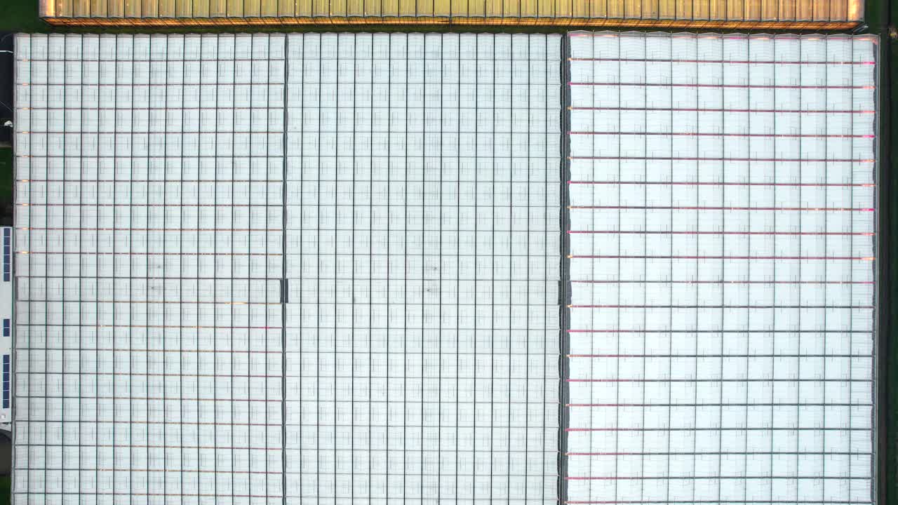 mirando hacia abajo al patrón de grandes invernaderos comerciales mientras uno de ellos está iluminado en ese momento