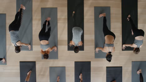 above view yoga class healthy women practicing cobra pose enjoying fitness lifestyle exercising in studio