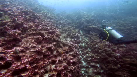 Wasseraufnahme-Eines-Tauchers-Beim-Erkunden