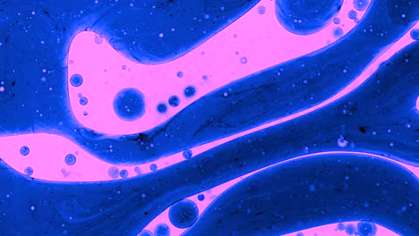 colorful oil drops floating on water surface, top view. fantastic abstract background. bright bubbles moving and spreading. close up 4k video of weird liquid structures. scientific chemical experiment