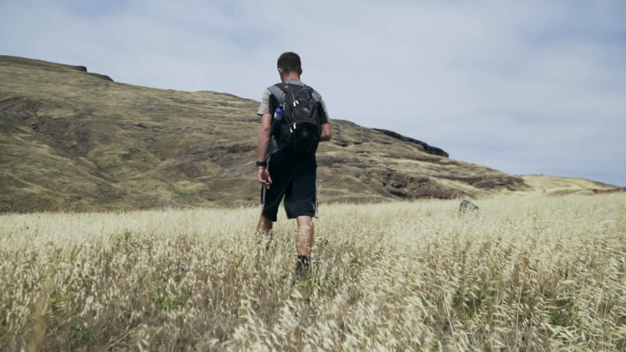 골든 필드를 걷는 사람을 따라 슬로우 모션 샷