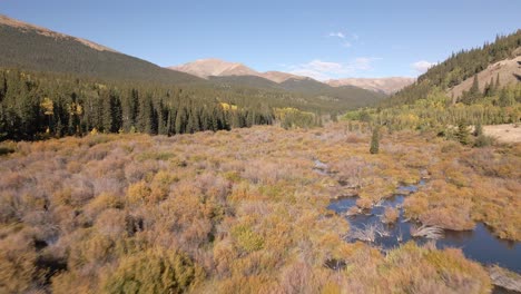 flying low over beaver ponds up a valley