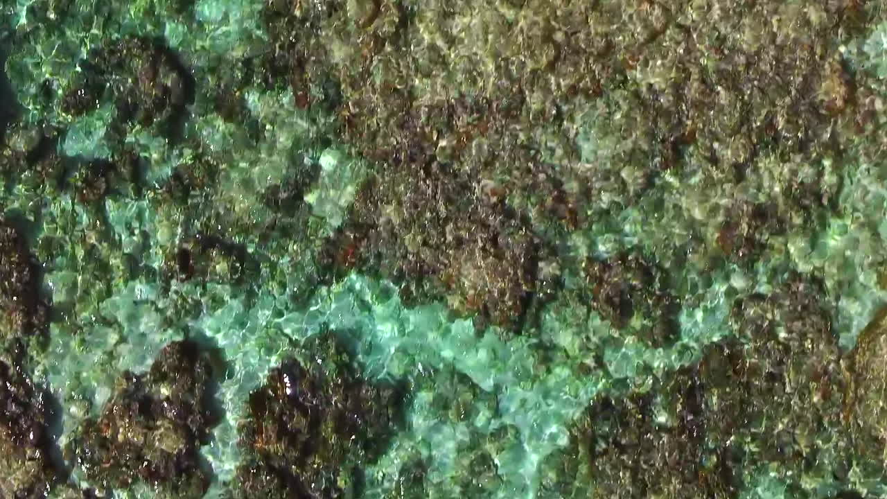 Coral reef, shimmering tropical waters near Mar&eacute; Island
