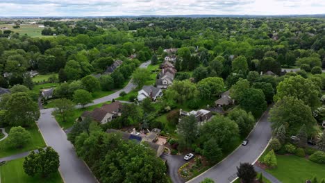 idyllic and scenic housing area in american suburb town. green trees in summer. aerial wide shot. peaceful scene in neighborhood.