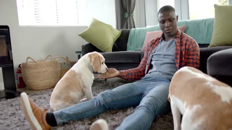 happy african american man sitting on floor at home, playing with his pet dogs, slow motion