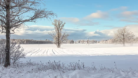 hyperlapse of dramatic clouds in a blue sky with open winter landscape and view of fields surrounded by forests