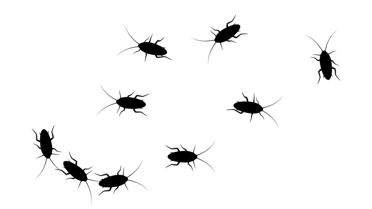 enjambre de cucarachas, siluetas animadas en cg en un bucle blanco y sin costuras