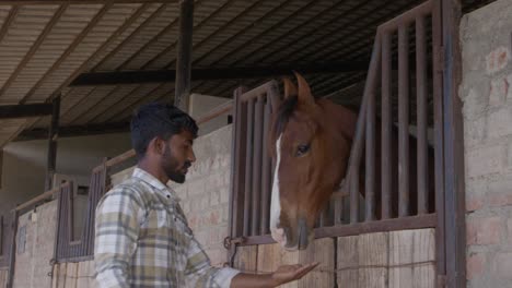 a south asian man petting a brown horse in stable