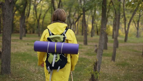 rear view of hiker walks through the forest using wooden stick, slow motion