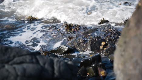 close up of waves crashing on rocks at shore, slow motion