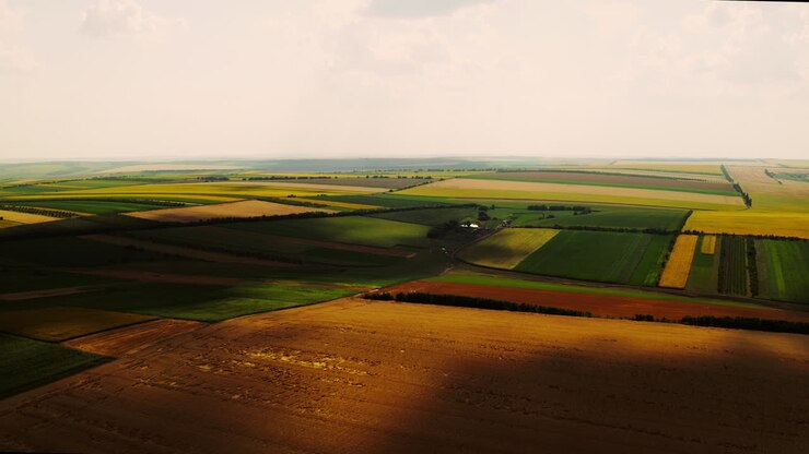 Rekaman drone Sinematik, Vibran dari ladang budidaya di Moldova