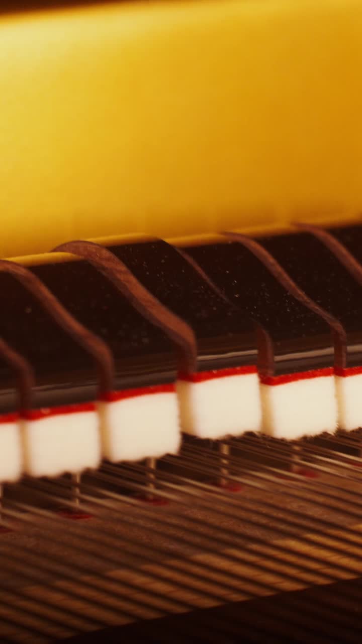 Closeup of Piano Keys and Mechanism