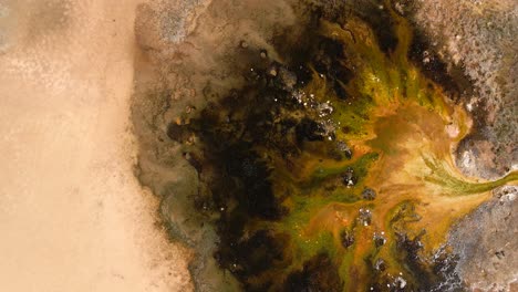 Aerial-4K-footage-of-Grand-Prismatic-Spring-in-Yellowstone-National-Park,-Wyoming,-USA