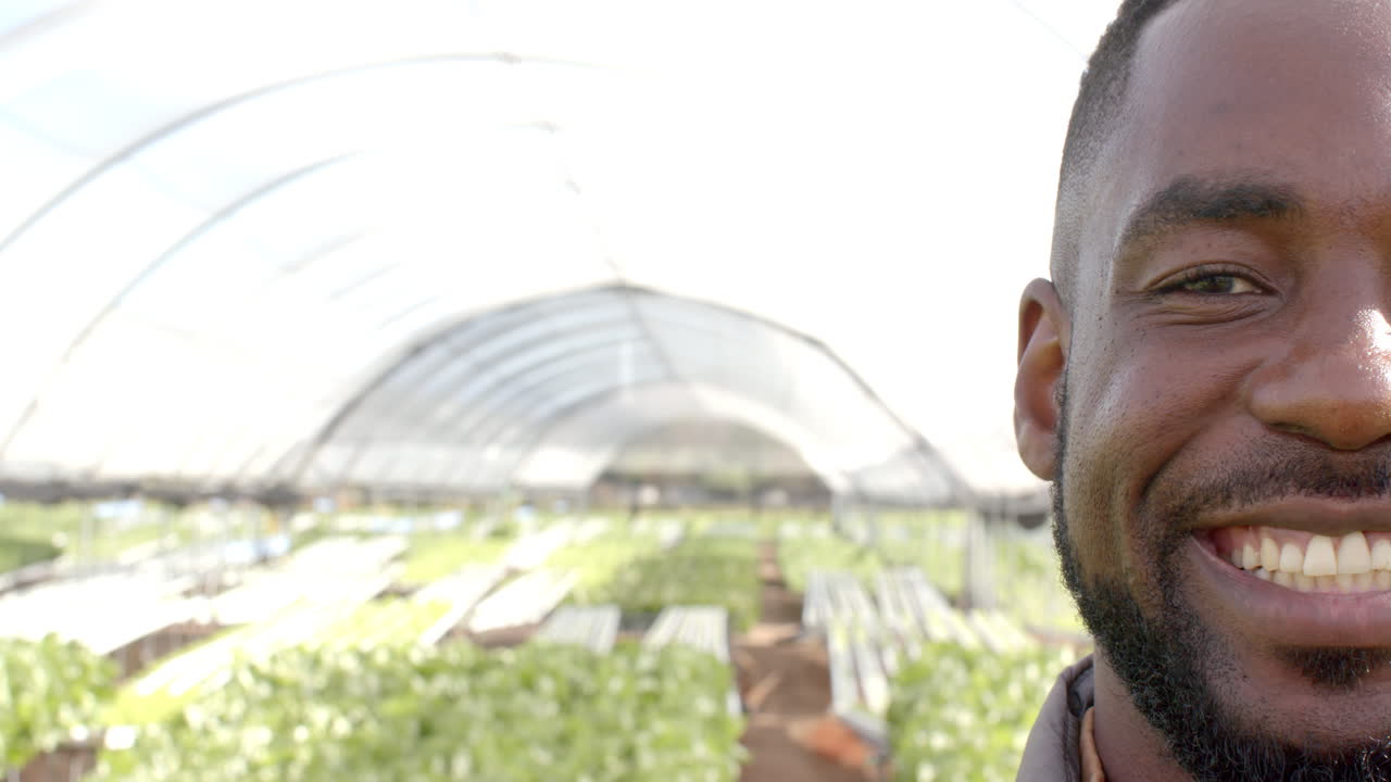 Showcasing sustainable agriculture techniques, smiling man in hydroponic farm, copy space