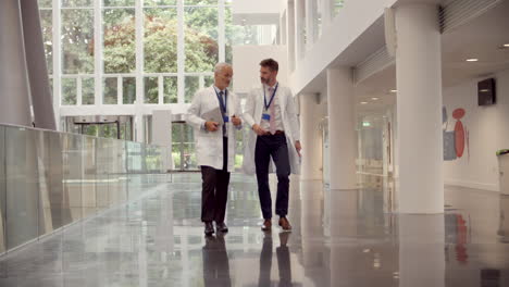 two doctors talking as they walk through modern hospital