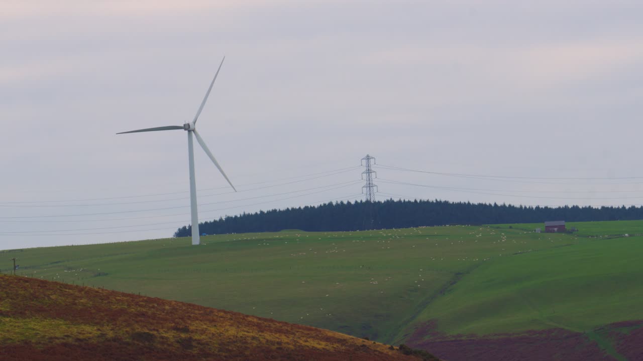 Wind Turbine on a Green Hill with Sheep and Power Lines