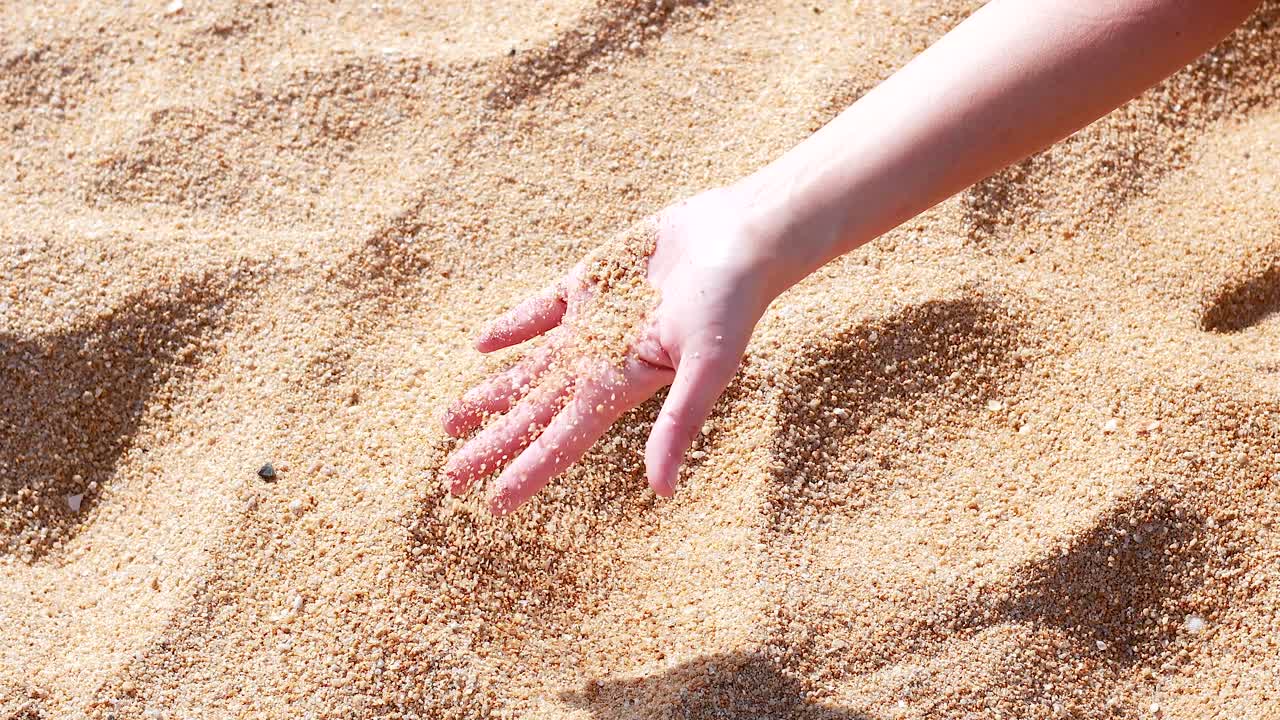 해변의 모래와 상호 작용하는 손