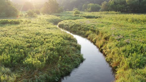 sunrise over a tranquil creek in a lush meadow