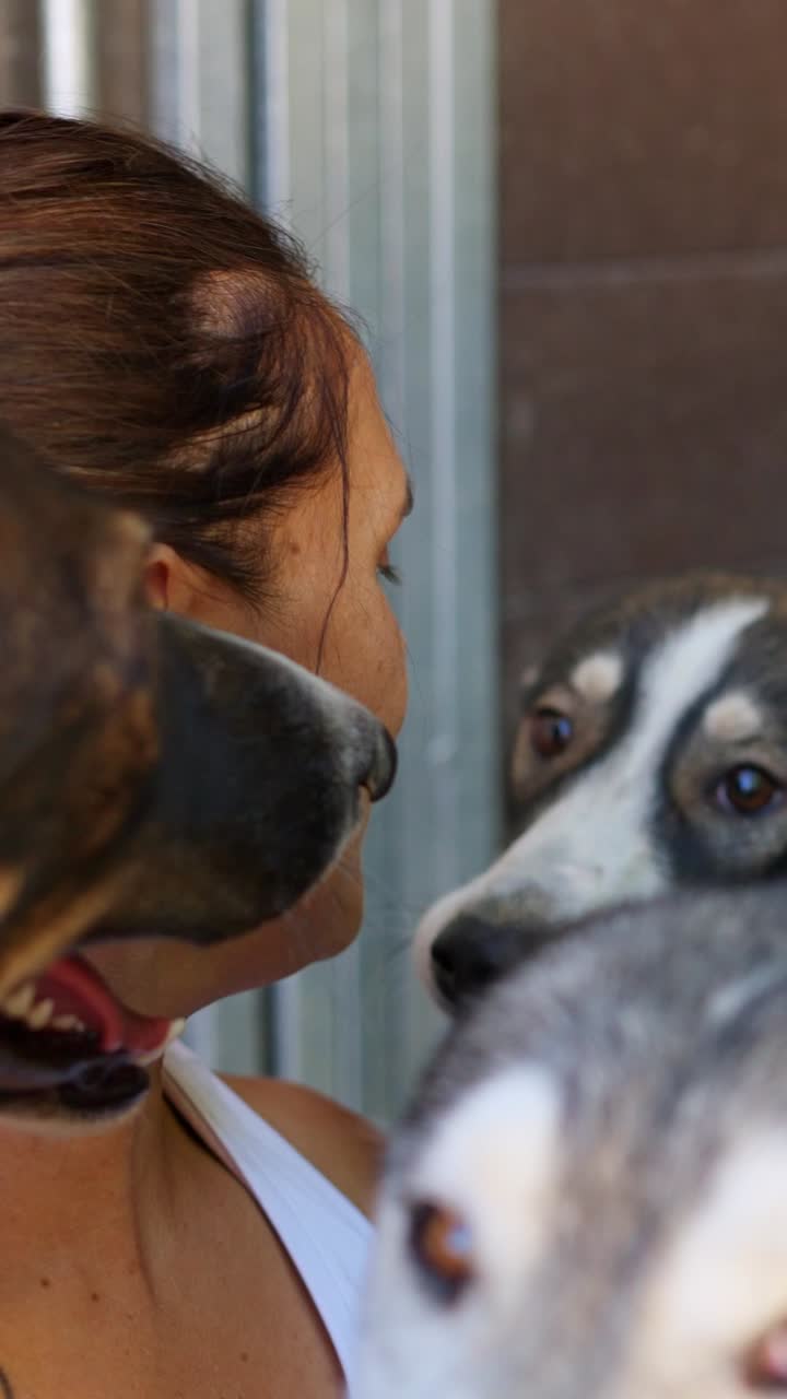 Close-up de uma mulher sendo lambida por vários cachorros